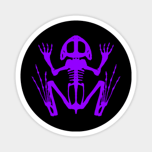 Frog Skeleton (Purple) Magnet